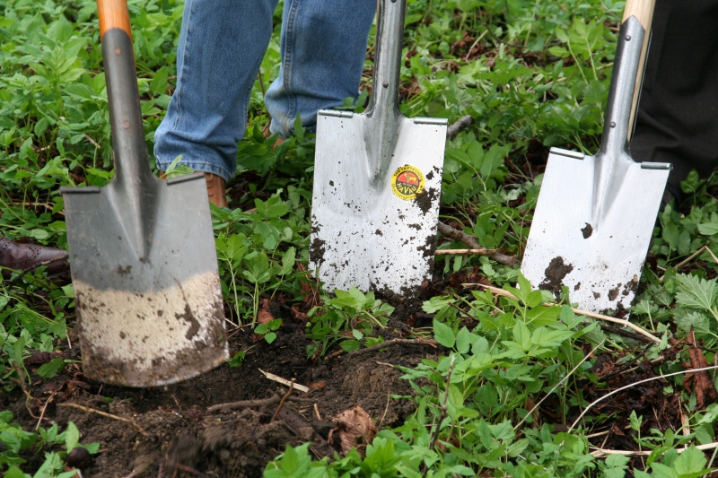 pepiniere-GARS-min_work-lawn-flower-tool-green-backyard-1103633-pxhere.com